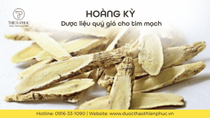 Hoàng Kỳ - Dược Liệu Quý Giá Cho Tim Mạch