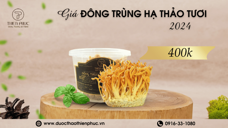 Giá Thực Phẩm Đông Trùng Hạ Thảo Tươi 2024