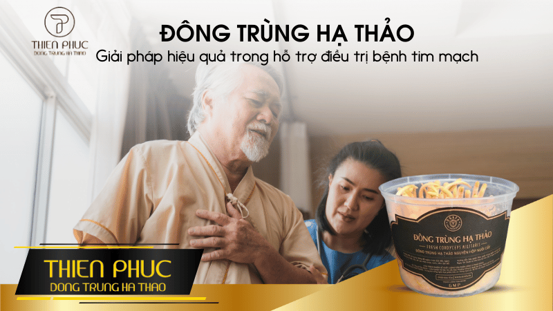 Giải pháp hiệu quả trong hỗ trợ điều trị bệnh tim mạch