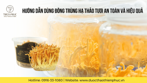 Hướng Dẫn Dùng Đông Trùng Hạ Thảo Tươi An Toàn Và Hiệu Quả