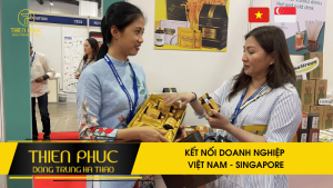 KẾT NỐI DOANH NGHIỆP VIỆT NAM - SINGAPORE