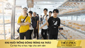 KHU NUÔI TRỒNG ĐÔNG TRÙNG HẠ THẢO