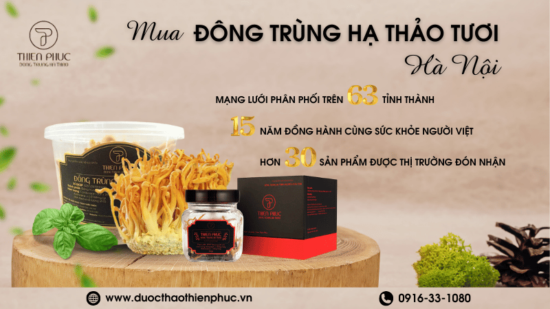 Hà Nội Có Đông Trùng Hạ Thảo Tươi Không?