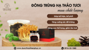 Mua Đông Trùng Hạ Thảo Tươi Tại Dược Thảo Thiên Phúc