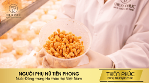 NGƯỜI PHỤ NỮ TIÊN PHONG