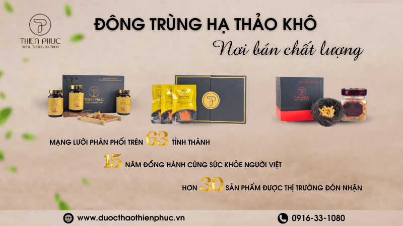 Nơi Bán Đông Trùng Hạ Thảo Khô Chất Lượng