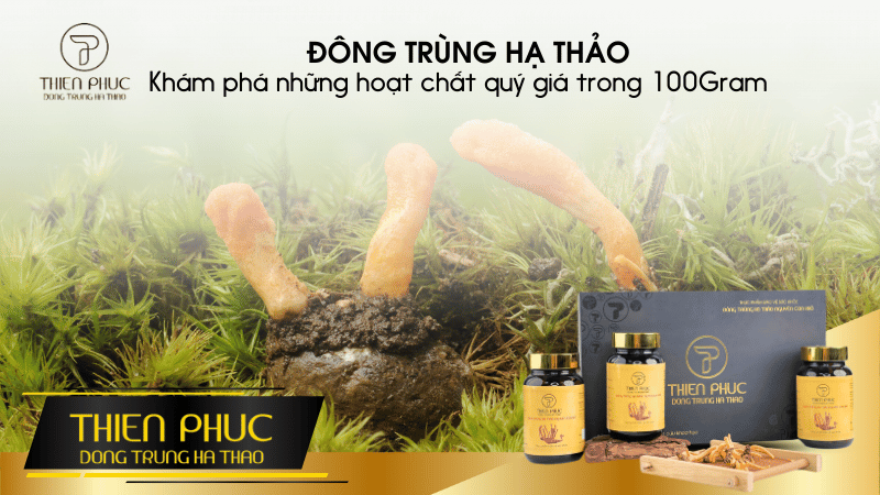 Những Hoạt Chất Quý Giá Trong 100 Gram Đông Trùng Hạ Thảo