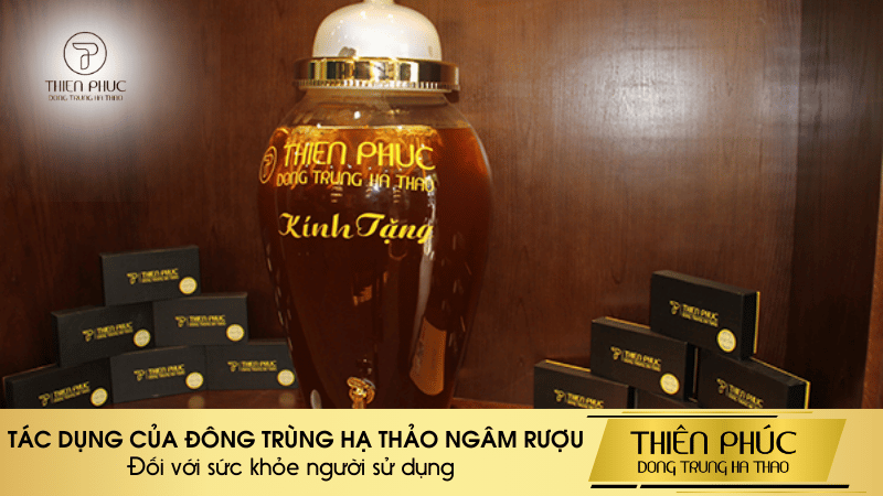 TÁC DỤNG CỦA ĐÔNG TRÙNG HẠ THẢO NGÂM RƯỢU