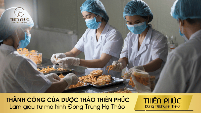 Làm Giàu Từ Mô Hình Nuôi Trồng Đông Trùng Hạ Thảo