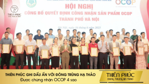 THIÊN PHÚC GHI DẤU ẤN VỚI ĐÔNG TRÙNG HẠ THẢO