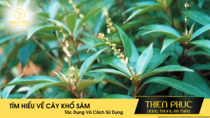 Tác Dụng Của Cây Khổ Sâm Trong Y Học Cổ Truyền