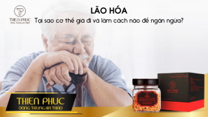 Lão Hóa – Tại Sao Cơ Thể Già Đi Và Làm Cách Nào Để Ngăn Ngừa Hiệu Quả?