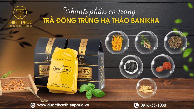 Thành Phần Trà Đông Trùng Banikha