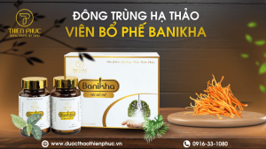 Mua Viên Bổ Phế Banikha Ở Đâu?