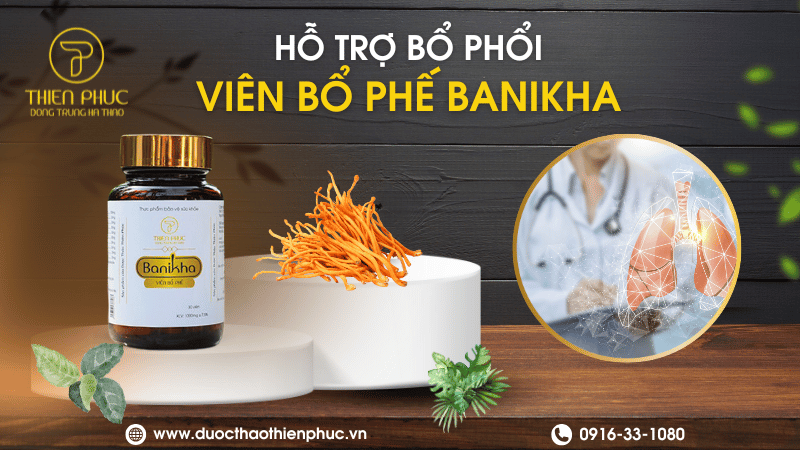 Viên Ngậm Bổ Phổi Banikha