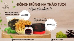 Giá Tốt Nhất Cho Đông Trùng Hạ Thảo Tươi