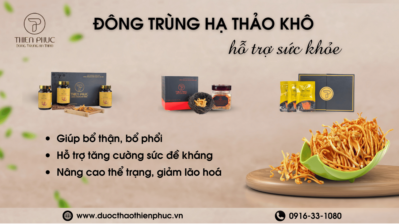 Giới thiệu sản phẩm Đông Trùng Hạ Thảo