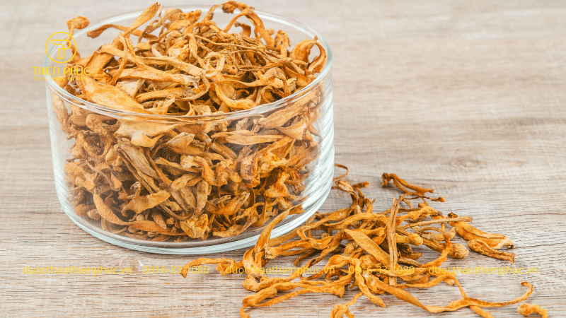 Tăng cường chức năng sinh lý