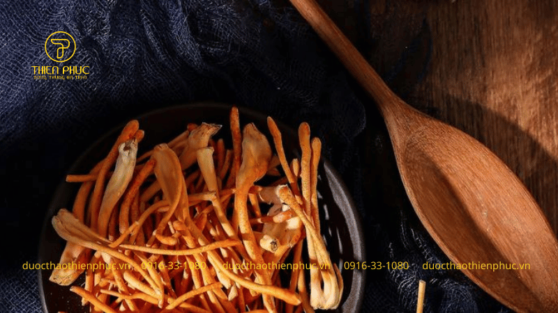 Sử Dụng Đông Trùng Hạ Thảo Tươi