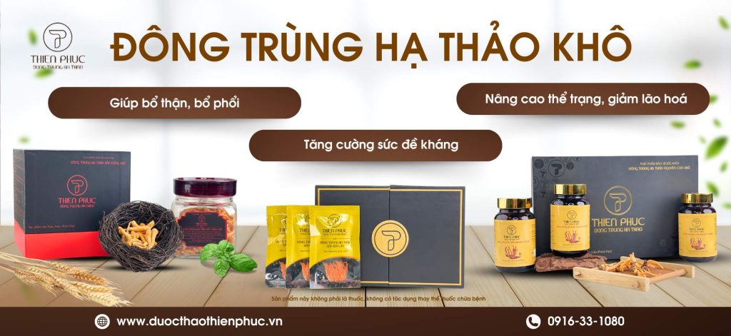 ĐÔNG TRÙNG HẠ THẢO KHÔ