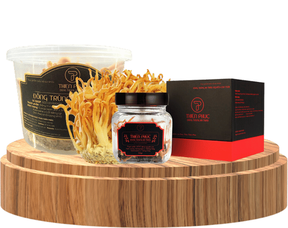 Đông trùng hạ thảo tươi