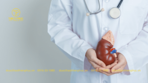 Thận Hoạt Động Như Thế Nào?