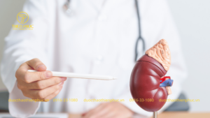 Nguy Cơ Mắc Bệnh Thận Từ Thực Phẩm Chế Biến Sẵn