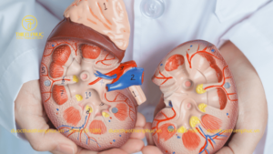 Uống Nước Đủ Giúp Thận Khỏe