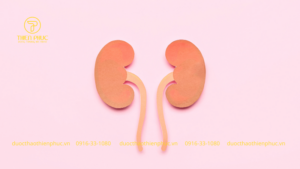 Thực Phẩm Bổ Thận