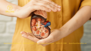 Thực Phẩm Không Tốt Cho Thận