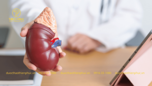 Suy Thận Là Gì? Những Điều Bạn Cần Biết