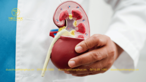 Thận Yếu Do Mất Ngủ