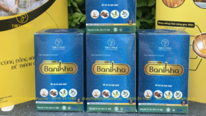 Cải Thiện Chứng Mất Ngủ Ở Người Già