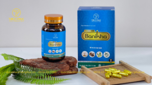 Cải Thiện Sức Khỏe Bằng Giấc Ngủ Sâu