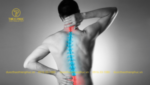 Gai Cột Sống Có Nguy Hiểm Không? Nguyên Nhân, Triệu Chứng Và Cách Điều Trị