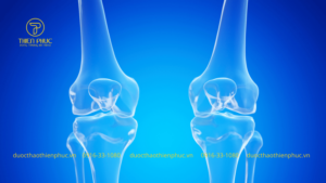 Tác Dụng Xương Khớp Bảo Nhân