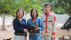 Chăn Nuôi Gà Đẻ Trứng Kết Hợp Đông Trùng Hạ Thảo