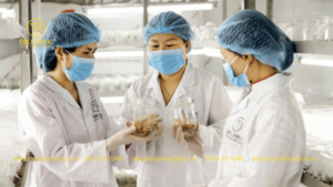 Hành Trình Đầy Gian Nan Và Những “Bài Học Xương Máu”