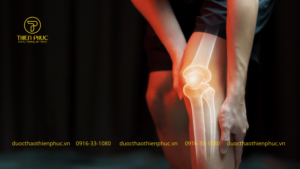 Giá Xương Khớp Bảo Nhân Là Bao Nhiêu?