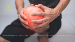 Dinh Dưỡng Tốt Cho Xương Khớp