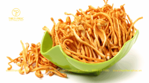 Bảo Quản Trà Đông Trùng Hạ Thảo Banikha Đúng Cách