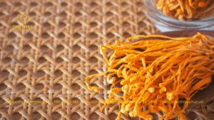 Trà Đông Trùng Banikha Chính Hãng Mua Ở Đâu Uy Tín Nhất Hiện Nay?