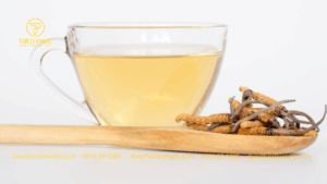 Cách Sử Dụng Trà Đông Trùng Hạ Thảo Banikha Hiệu Quả