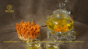 Mua Trà Đông Trùng Hạ Thảo Banikha Ở Đâu Uy Tín? Gợi Ý Địa Chỉ Đáng Tin Cậy