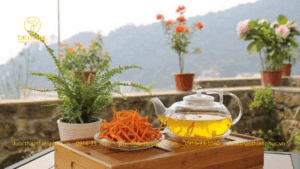 Trà Đông Trùng Hạ Thảo Banikha Có Tác Dụng Gì?