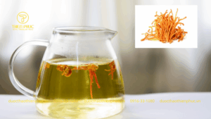 Trà Đông Trùng Hạ Thảo Banikha Có Tốt Không?