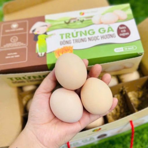 Trứng Gà Đông Trùng Ngọc Hương